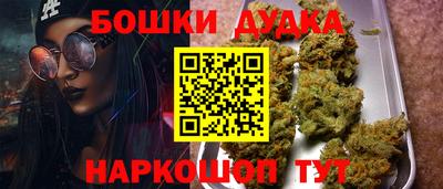 стафф Гудермес