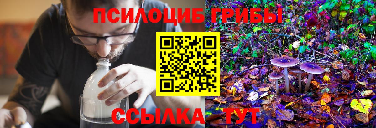 Верхний Уфалей  Галлюциногенные грибы MAGIC MUSHROOMS  Псилоцибиновые грибы Psilocybine cubensis  Вход с VPN 