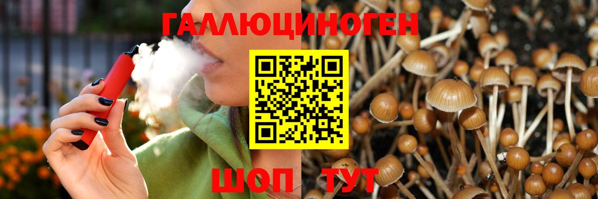 Псилоцибиновые грибы мицелий Верхний Уфалей